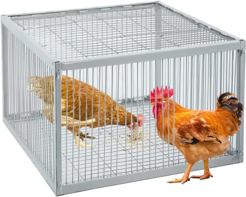 Miniatura 12 de Trampa para palomas con diseño a prueba de fugas, trampa para pájaros con entrada unidireccional, jaula para pollos y aves para palomas, portátil