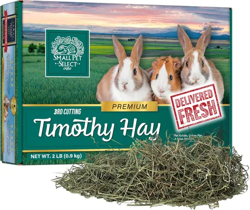 Small Pet Select 3er corte Super suave Timothy Hay comida para mascotas para comedores quisquillosos, conejos, cobayas y otros animales pequeños,