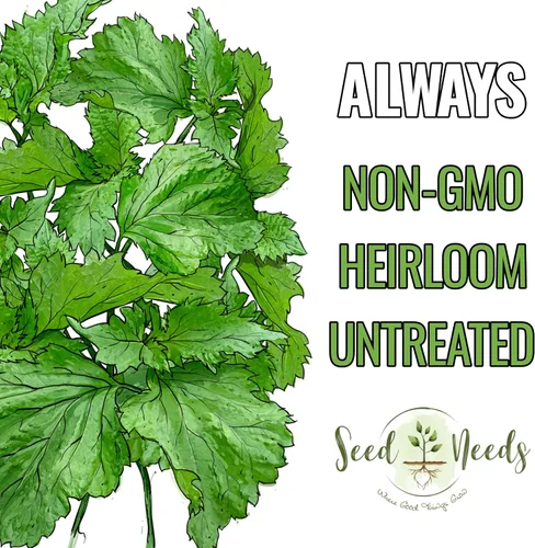 Miniatura 5 de Seed Needs Green Shiso Seeds to Plant Heirloom Perilla No GMO 5 paquetes