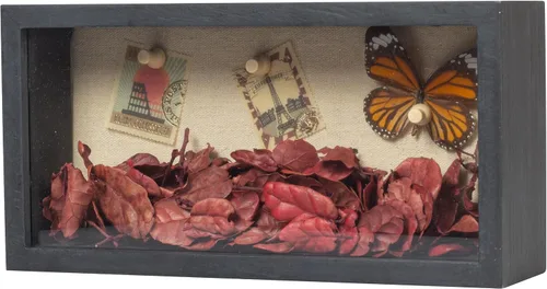 Miniatura 18 de Marco de Caja de Sombra 5x10 Caja de Exhibición de Caja de Sombra con Fondo de Lino para Premios, Objetos de Colección, Flores, Fotos, Recuerdos