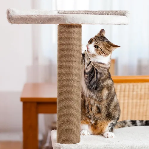 Miniatura 3 de 4 piezas de repuesto de poste rascador para gatos M8, 15.7 x 3.1 pulgadas, poste de repuesto para árbol de gatos de yute natural para gatos