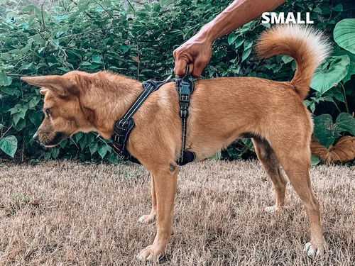 Miniatura 7 de Tuff Pupper Arnés para perro sin tirones, chaleco resistente para mascotas, clips para correa delantera y trasera, mango de seguridad fuerte
