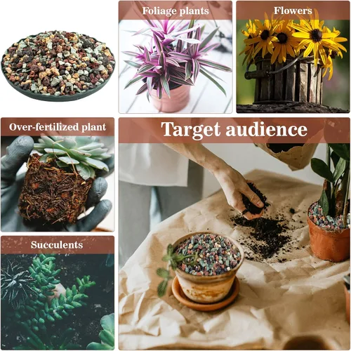 Miniatura 5 de Sukh Suelo de gránulos para suculentas hortícolas de 1 libra, mezcla de bonsái, rocas de lava, cactus y suelo, enmienda de mezcla para macetas