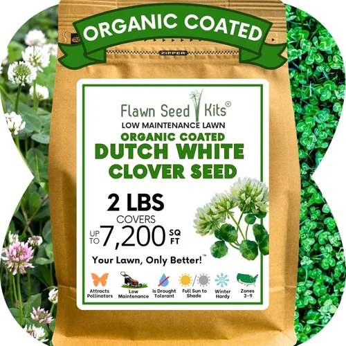 Miniatura 10 de Flawn Seed Kits Semilla de trébol holandés blanco, 1 libra, revestimiento orgánico, césped natural, cubierta del suelo, parcela de alimentos