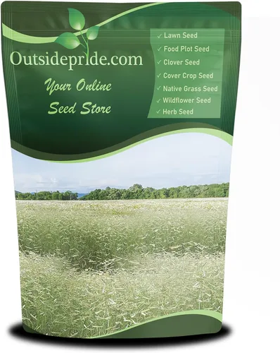 Miniatura 9 de Outsidepride Blue Grama - Semillas de pasto nativo – 1 libra perenne, tolerante a la sequía y de bajo mantenimiento, semillas de pasto para plantar