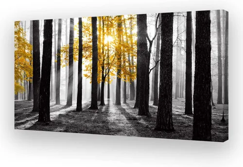 Miniatura 8 de Cao Gen Decor Art S06675 - Lienzo decorativo para pared, diseño de árbol rojo en blanco y negro, sol bosque brumoso, imagen póster impresión