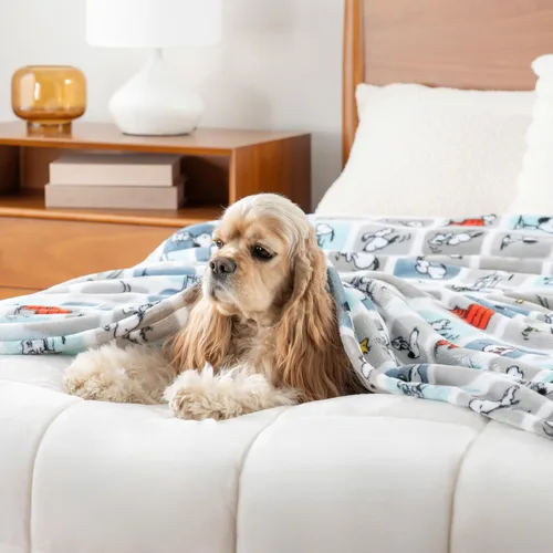 Miniatura 7 de Berkshire Blanket Peanuts® VelvetLoft® - Manta de felpa de Snoopy con bonitos personajes, Snoopy, diseño a cuadros, azul, manta de 55 x 70 pulgadas