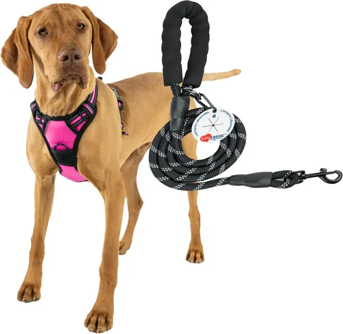 Miniatura 10 de Arnés sin tirones para perro, con correa fuerte y duradera y soporte para bolsas de excrementos, juego de 3 piezas Arnés reflectante sin