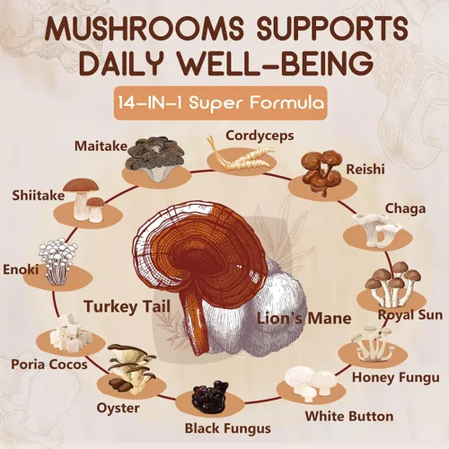 Miniatura 7 de NATURE TARGET Suplemento de hongos, complejo de hongos con melena de león, cola de pavo, reishi, cordyceps, shiitake, hongos 14 en 1 para memoria
