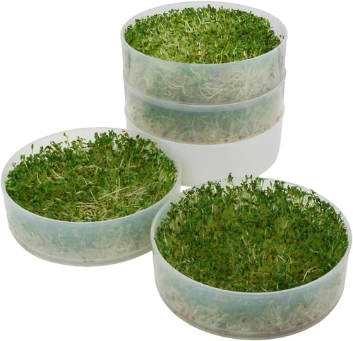 Miniatura 3 de KITCHEN CROP VKP Marcas Germinador de 4 Bandejas