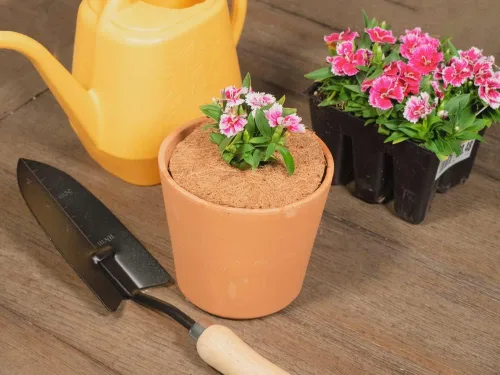 Miniatura 2 de Envelor 20 anillos de mantillo de fibras de coco, protector de árbol de 4 pulgadas, cubierta de mantillo de coco, anillos de control de malezas