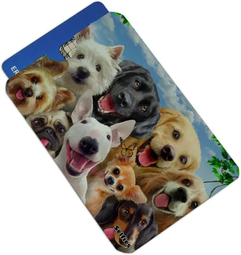 Miniatura 2 de GRAPHICS & MORE Juego de 4 fundas para tarjetas de crédito para perros Selfie Lab Golden Retriever Dachshund Westie Pug Terrier para tarjetas