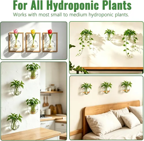 Miniatura 6 de NUPTIO Macetas de cristal para colgar en la pared: 4 jarrones transparentes de montaje en pared de terrario para interiores, oficina, jardín, sala
