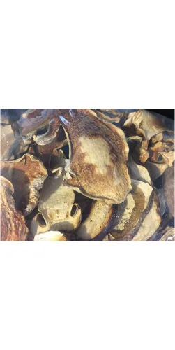 Porcini doméstico seco 1LB