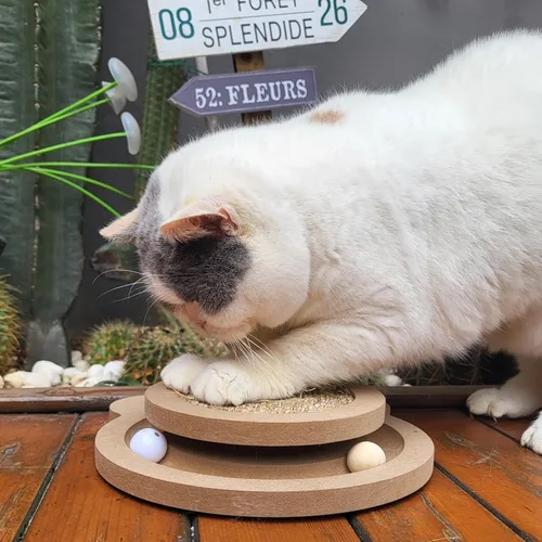 Miniatura 2 de Lindo rascador de gato, juguetes rascadores interactivos para gatos de interior y gatito natural de sisal para gatos, pelotas de pista, juguete