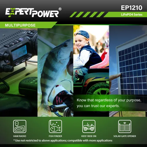 Miniatura 3 de ExpertPower - Baterías recargables de ciclo profundo LiFePO4 de litio de 12 V