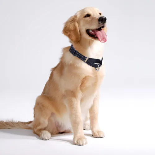 Miniatura 2 de Serijoars Martingale - Collar para perro, collar ajustable de nailon para entrenamiento, collar martingala reflectante para perros pequeños, Negro