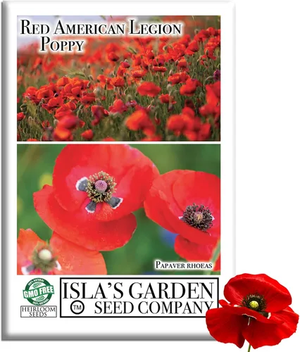 Red American Legion - Semillas de amapola (Papaver rhoeas) – 3000 semillas tradicionales sin OMG de Isla's Garden Seeds, flores escarlata icónicas,
