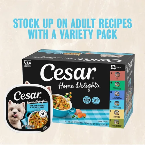 Miniatura 12 de Cesar Home Delights - Comida húmeda para perros adultos, cena en salsa de pollo y verduras cocidas a fuego lento, bandeja de comida para perros