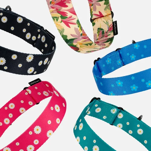 Miniatura 6 de CollarDirect Martingale - Collar de nailon resistente para perros pequeños, medianos y grandes [nailon, estampado, aguamarina, L, 15-20 pulgadas)