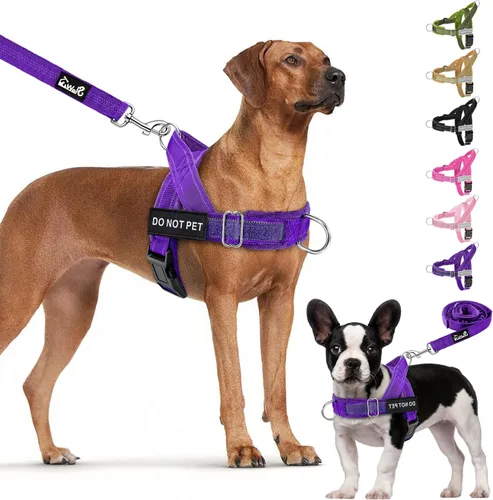 Miniatura 13 de Juego de arnés y correa para perro Lukove sin tirones - Arnés de chaleco para perros resistente con acolchado suave para perros medianos y grandes