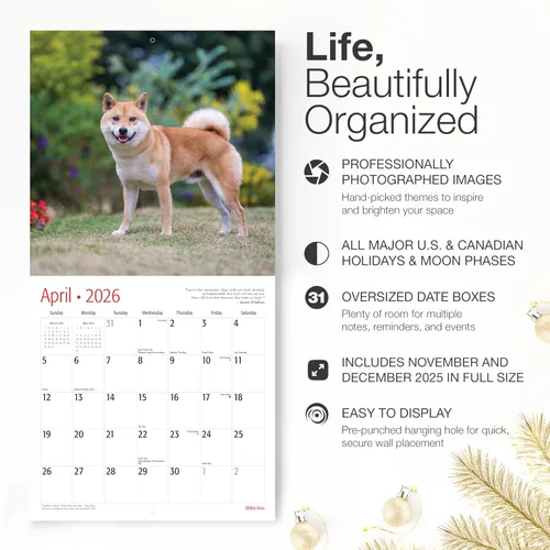 Miniatura 2 de RED EMBER Shiba Inus - Calendario de pared 2026 de 12 meses 12 x 24 pulgadas abierto Papel grueso y resistente Regalo de vacaciones Lindo