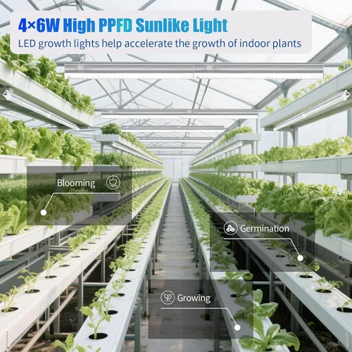 Miniatura 2 de Hywymlait T5 - Luces de cultivo para plantas de interior, espectro completo de 5000 K, lámpara LED de cultivo de 1 pie, tiras de luz de cultivo