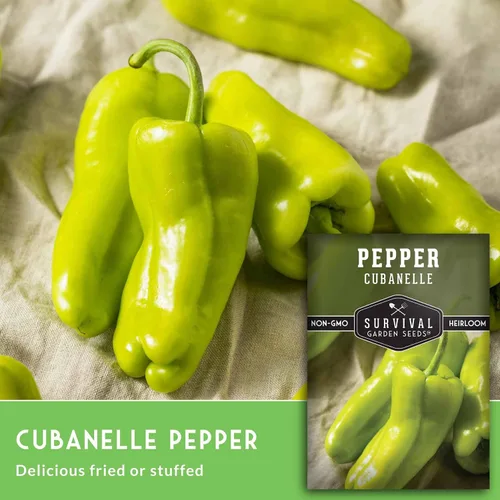 Miniatura 3 de Cubanelle - Semillas de pimiento para plantar – Pimientos dulces italianos y caribeños (Aji Cubanela) – Variedad reliquia suave de pared fina sin