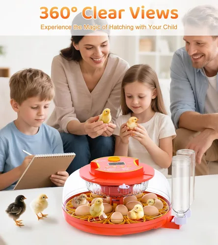 Miniatura 6 de Incubadora de 18 huevos con giro automático de huevos, control digital de humedad de temperatura, incubadora para incubar huevos, vela de vista