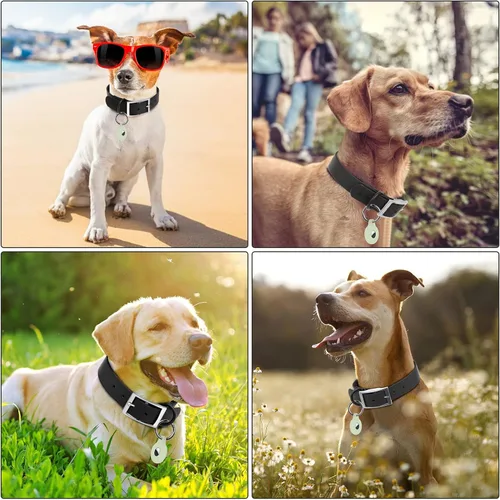 Miniatura 4 de Wisedog Collar de perro impermeable: ajuste múltiple de 7 a 23.6 pulgadas, correa recubierta de goma suave, fácil de limpiar, para perros pequeños