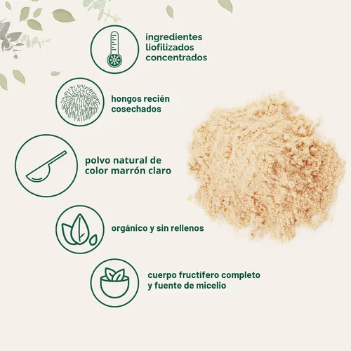 Miniatura 3 de Micro Ingredients Polvo de hongo de melena de león orgánico, 16 onzas Superalimento puro de cuerpo fructífero Apoya el cerebro