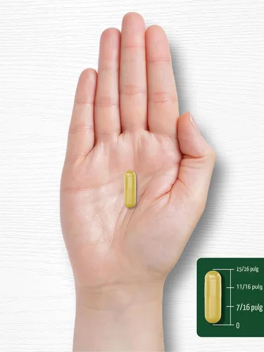 Miniatura 8 de Carlyle Berberina con canela de Ceilán Complejo de 2000mg 60 cápsulas Vegetariano, sin OGM, sin gluten