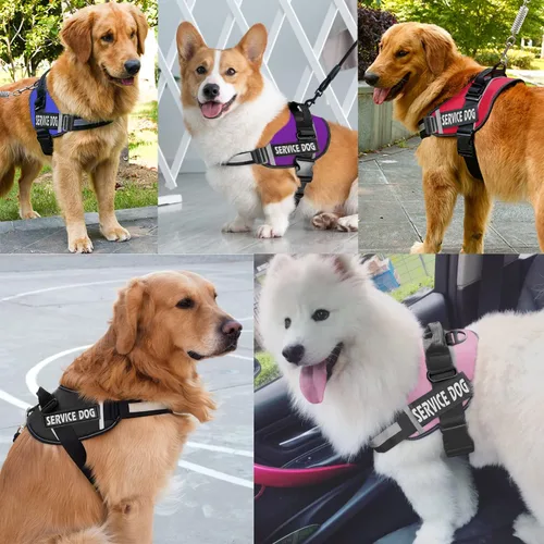 Miniatura 5 de JSXD - Arnés para perro, sin tirones, con asa ajustable, para exteriores, chaleco de nailon reflectante 3M, fácil control del perro, para perros