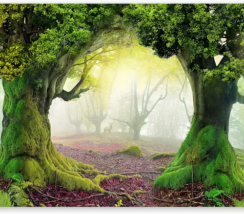Miniatura 28 de artgeist Mural de pared prémium Bosque 177 x 124 pulgadas, papel tapiz fotográfico no tejido, impresión artística, mural de pared de forro polar