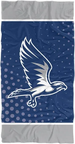 Miniatura 81 de LOGOVISION Manta Abilene Christian University, 30x60 Logo Dots CottonFront/PolyBackBeachTowel