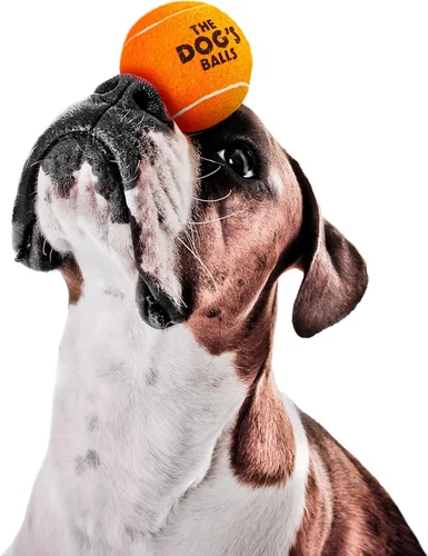 Miniatura 3 de The Dog's Balls Pelotas de tenis para perros, color naranja, paquete de 12 pelotas de fieltro no abrasivas, núcleo de goma resistente, flotan
