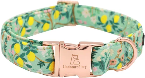 Miniatura 47 de Lionheart glory Collar de perro, Collar de perro azul Collar de perro para niños Collar ajustable de dinosaurio para perros pequeños Regalo