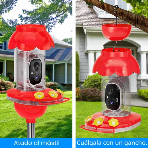Miniatura 7 de Comedero de colibrí con cámara, comedero inteligente inalámbrico para pájaros para ver video al aire libre, cámara AI con videos de captura