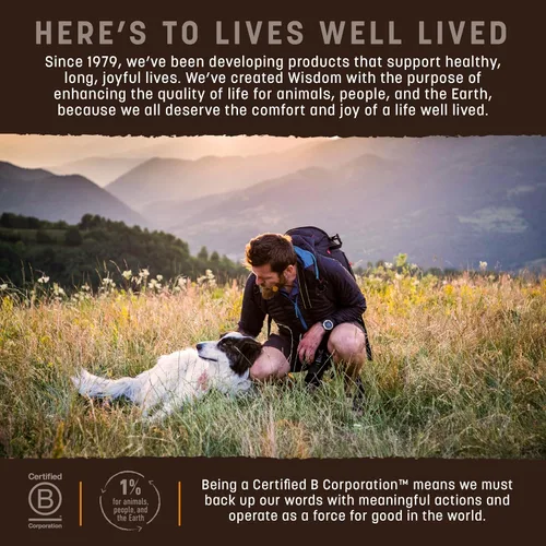 Miniatura 7 de Earth Animal Wisdom - Alimento seco para perros, receta de pollo, alimento seco natural de primera calidad para todas las razas y edades, bolsa de 2