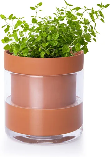 Phoenix Vine Maceta de riego automático de 4 pulgadas, maceta de arcilla de terracota con depósito de vidrio para plantas de interior, hierbas,