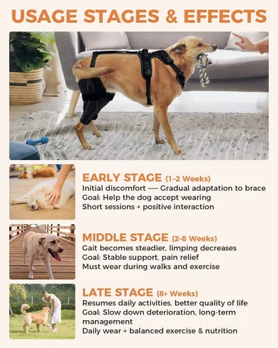 Miniatura 6 de Rodillera para Perro para Pata Trasera Rota ACL/CCL, Soporte Ajustable con Suficiente Envoltura y Apoyo para Luxación de Rótula, Rodillera