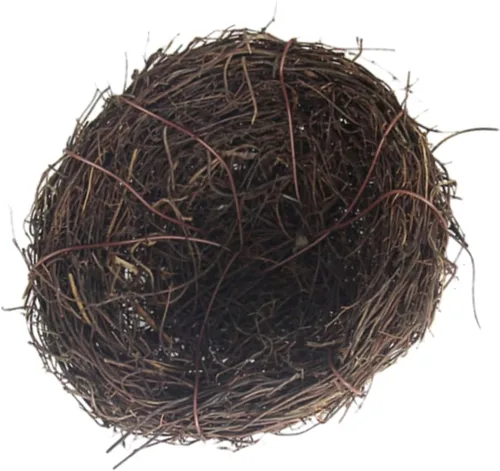 Holibanna Nidos de pájaros para manualidades, nido para pájaros, chocolate, nidos de Pascua, nidos de pájaros naturales, nido de pájaros, huevos de