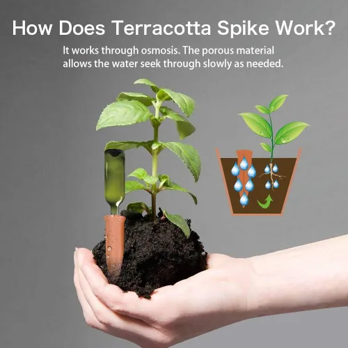 Miniatura 4 de Regaderos automáticos para plantas para vacaciones, paquete de 4 estacas de riego automático de terracota para botellas de vino, plantas
