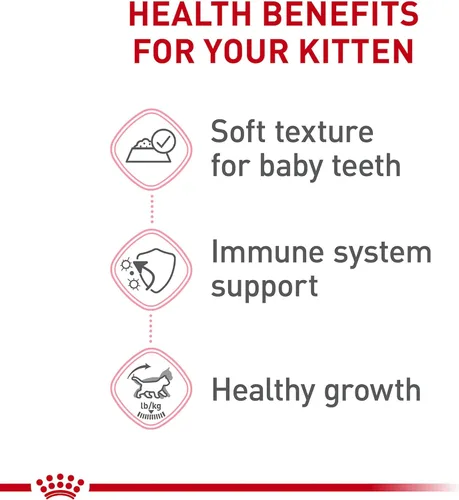 Miniatura 3 de Comida enlatada para gatos, de Royal Canin, salud felina, nutrición instintiva de adultos, rebanadas delgadas en salsa, Paquete de 6