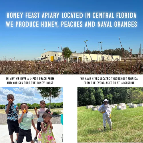Miniatura 2 de Honey Feast, Miel de Flor Silvestre, 12 Onza