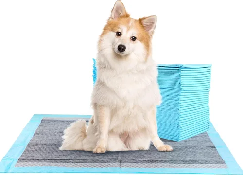 FluffyDream Almohadilla de entrenamiento impermeable súper absorbente para perros y cachorros, almohadilla para mascotas, azul (22 x 22 pulgadas,
