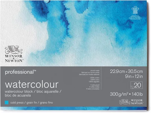 Winsor & Newton Bloque de papel de acuarela profesional, 9" x 12", prensado en frío