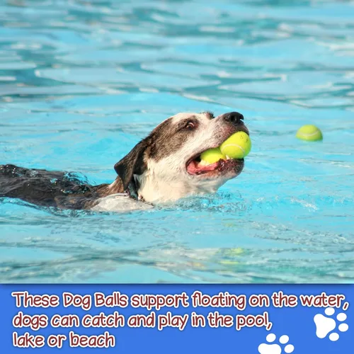 Miniatura 5 de INSUM Squeaky Dog Balls - Pelotas de tenis chirriantes para perros, multicolor, grandes, 3.0 pulgadas, paquete de 4
