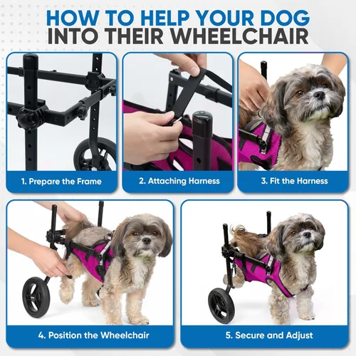 Miniatura 5 de Silla de ruedas para perros para patas traseras, carrito para silla de ruedas para perros, sillas de ruedas para perros y gatos con patas traseras
