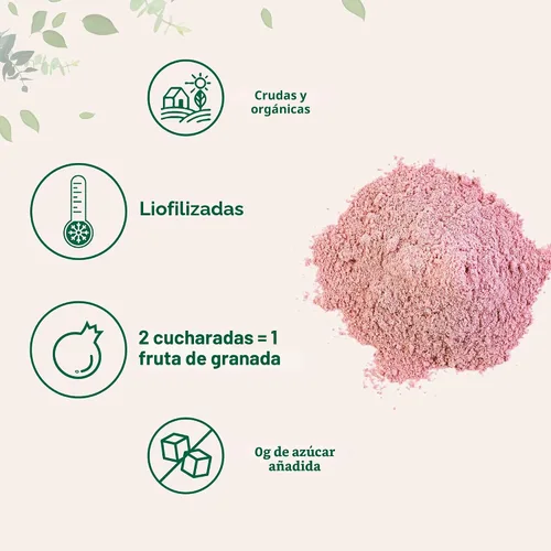 Miniatura 3 de Jugo de granadas orgánicas en polvo, 1 libra (91 porciones), liofilizado y prensado en frío, vitamina C natural, refuerza el sistema inmunitario